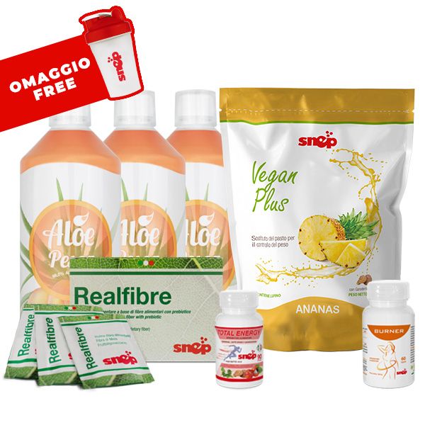 PROGRAMA FIT9 - ALOE MELOCOTÓN Y PLUS 1000 PIÑA