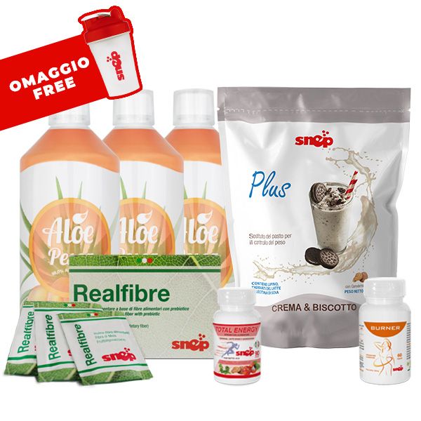 PROGRAMA FIT9 - ALOE MELOCOTÓN Y PLUS 1000 CREMA Y GALLETA