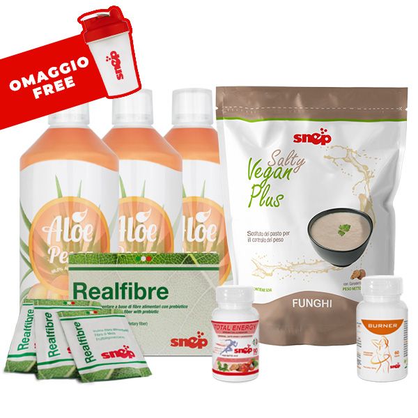 PROGRAMA FIT9 - ALOE MELOCOTÓN Y PLUS SABOR VEGANO SALADO DE SETAS