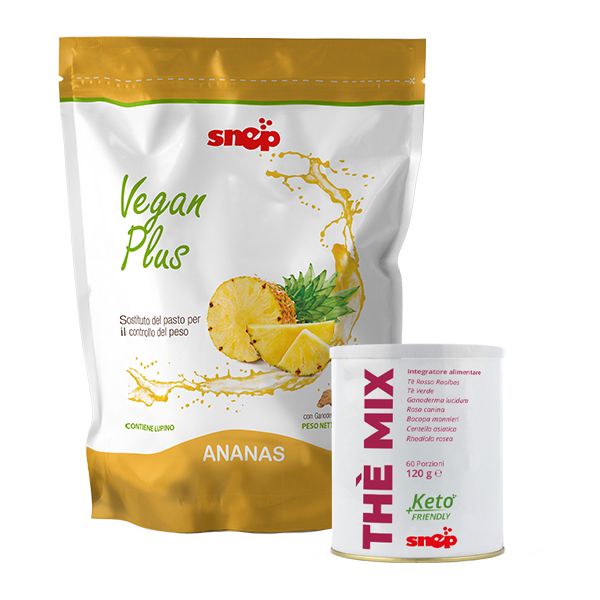 PROGRAM BASIC VEGAN ANANAS