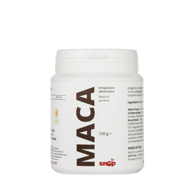 MACA